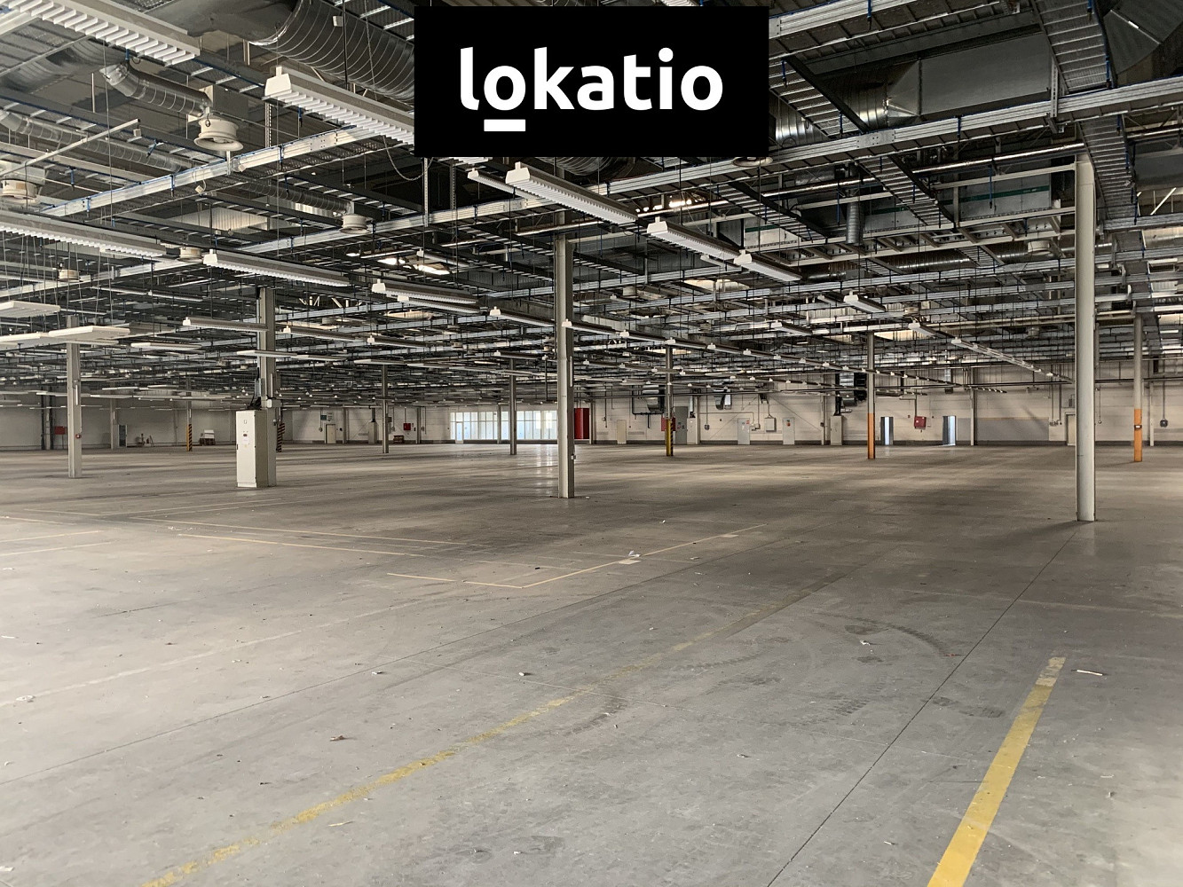 Pronájem skladovacích prostor 16 000 m² — photo 5