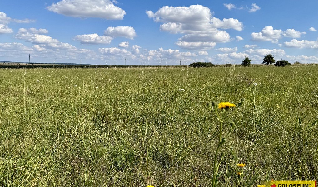 Prodej komerčního pozemku 22 332 m², Znojmo – náhled fotky 7