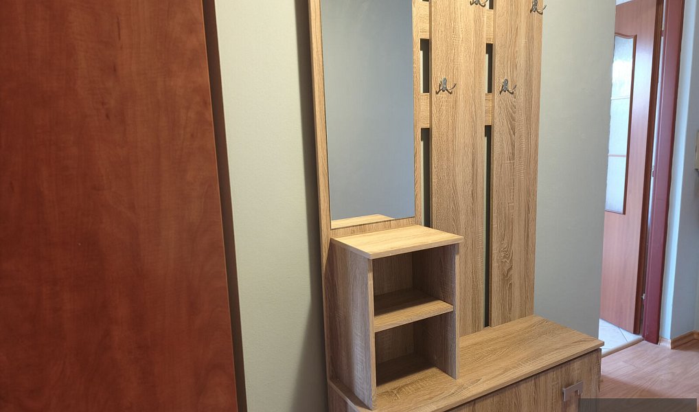 Pronájem bytu 1+kk 40 m², Kunovice – náhled fotky 9