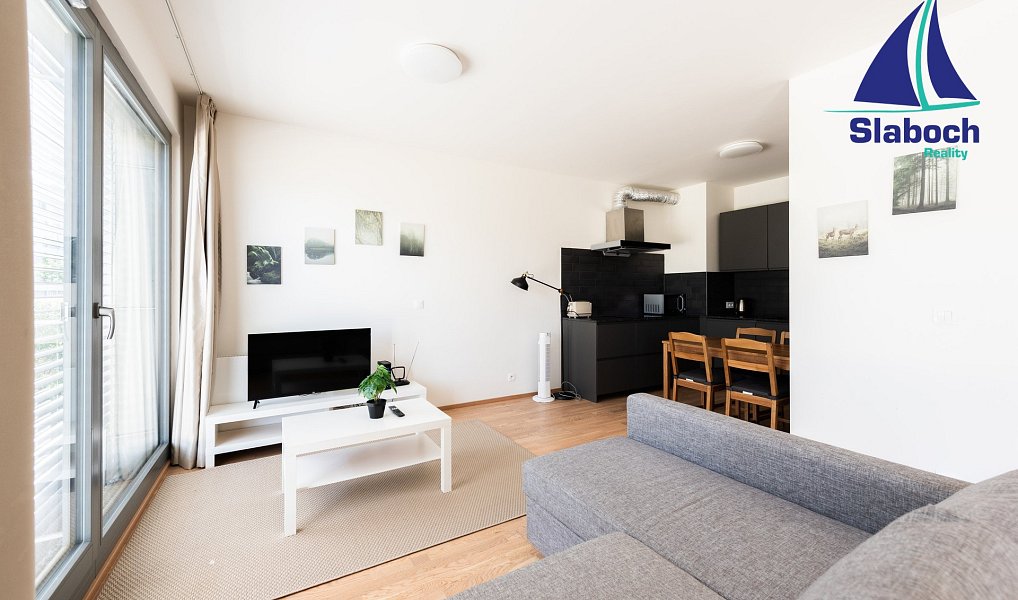 Pronájem bytu 1+kk 45 m², Praha – náhled fotky 4