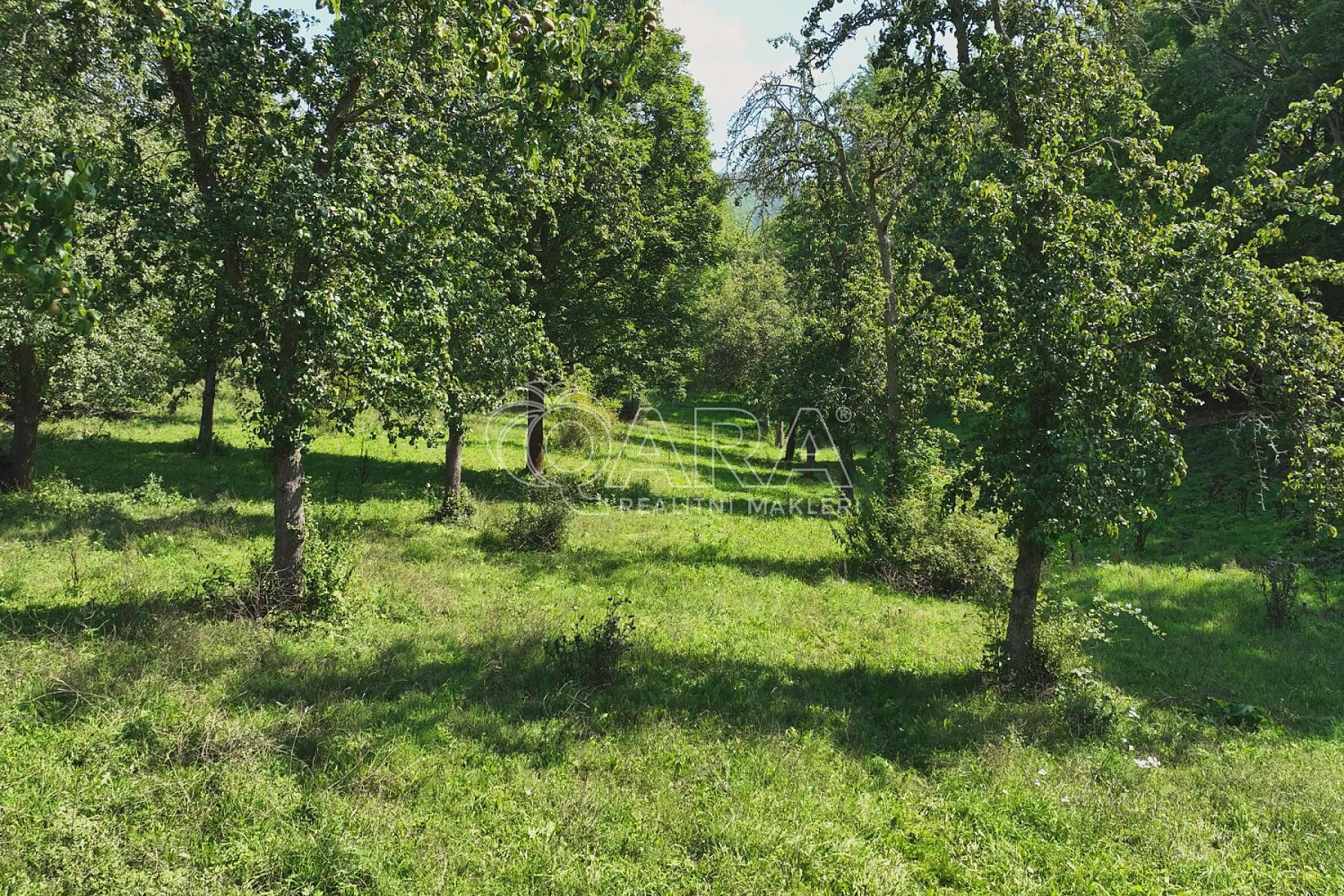 Prodej louky 199 287 m² – fotografie 4