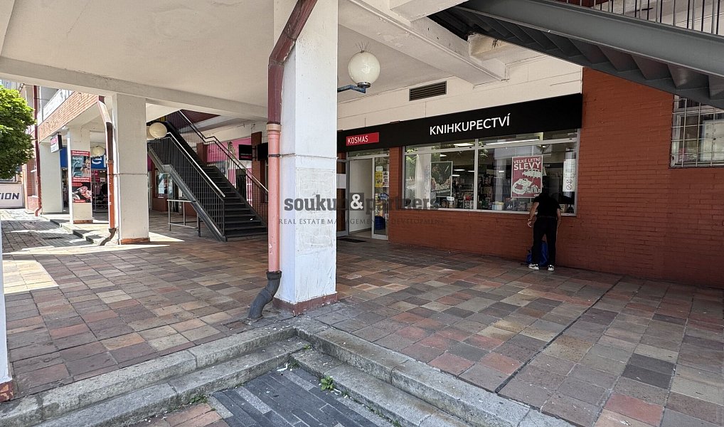 Pronájem obchodních prostor 170 m², Praha – náhled fotky 4