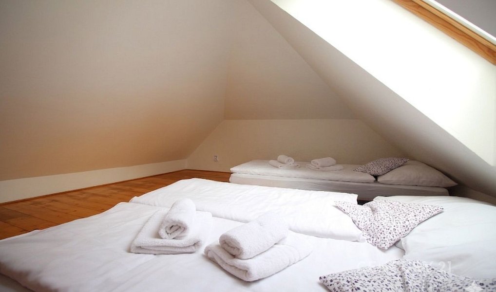 Prodej ubytovacího objektu 350 m², Červená Voda – náhled fotky 16