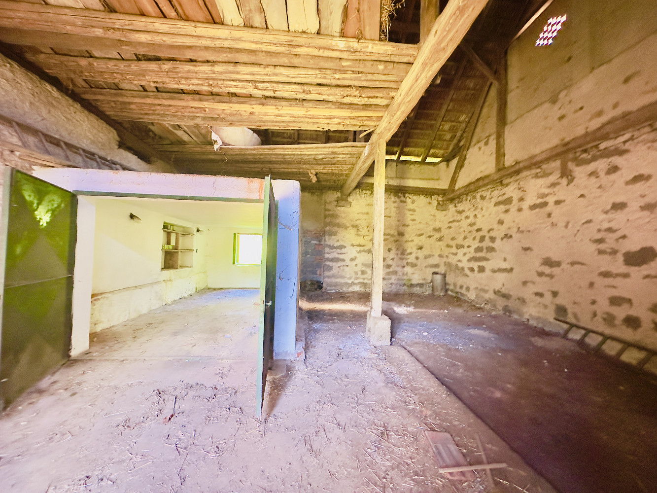 Fotka 12 z 19
