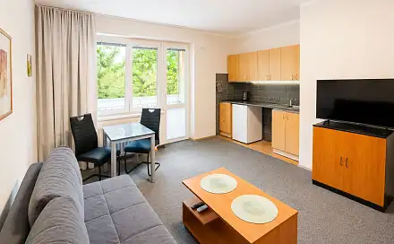 Pronájem bytu 1+kk 24 m²