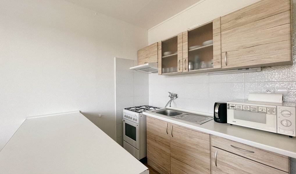 Pronájem bytu 1+1 40 m², Písek – náhled fotky 2