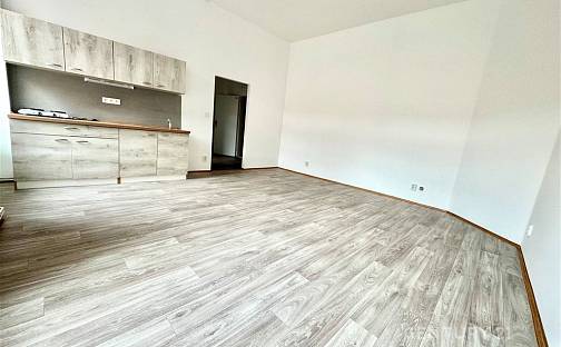 Pronájem bytu 1+kk 35 m², Tkalcovská, Brno - Zábrdovice