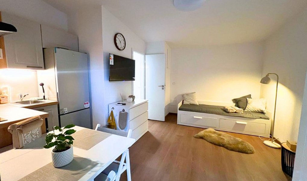 Pronájem bytu 1+kk 18 m², Hostivice – náhled fotky 6