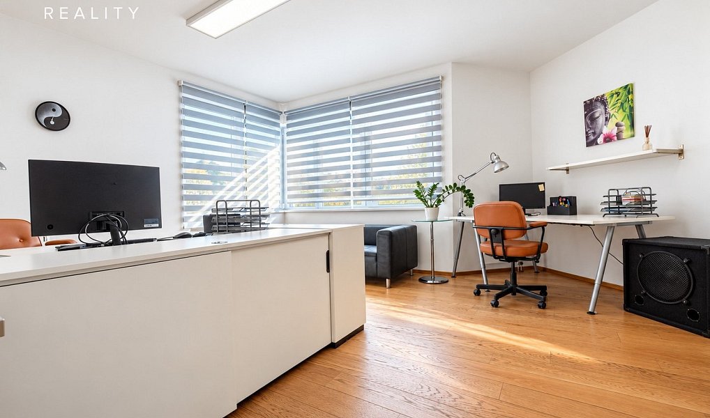 Prodej bytu 2+kk 60 m², Plzeň – náhled fotky 11