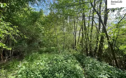 Prodej lesa 6 071 m², Horní Dunajovice, okres Znojmo