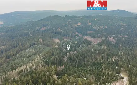 Prodej lesa 6 294 m², Hůrky, okres Rokycany