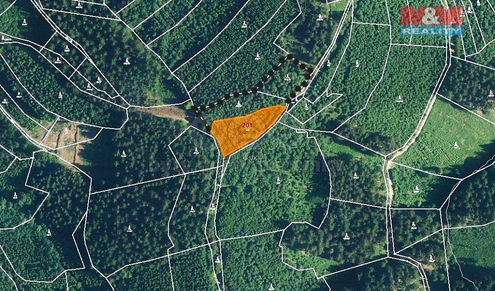 Prodej lesa 5 837 m², Lhota u Vsetína – náhled fotky 3