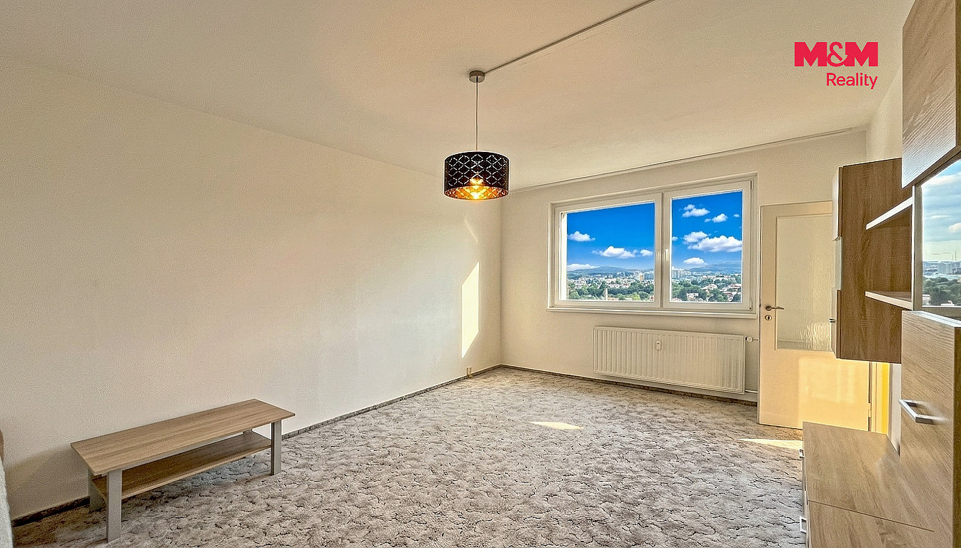 Pronájem bytu 1+kk 38 m² - Widok 3