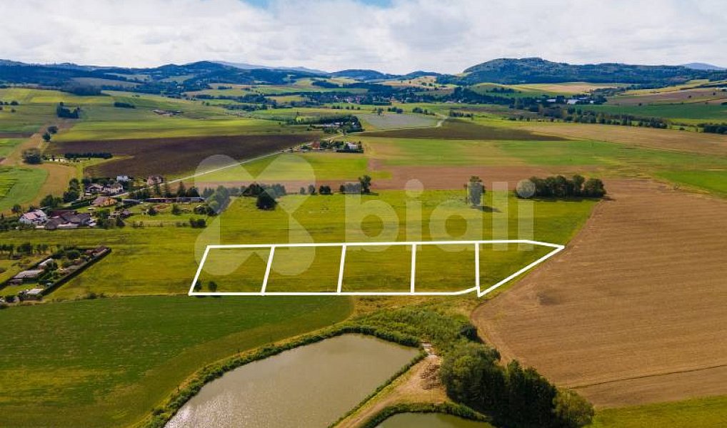 Prodej stavebního pozemku 17 343 m², Nýrsko – náhled fotky 13