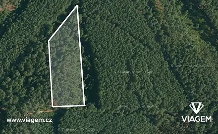 Prodej lesa 1 755 m², Vlastiboř, okres Tábor