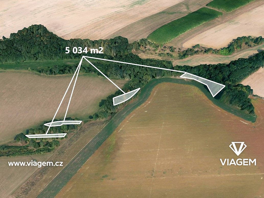 Prodej lesa 1 258 m²
