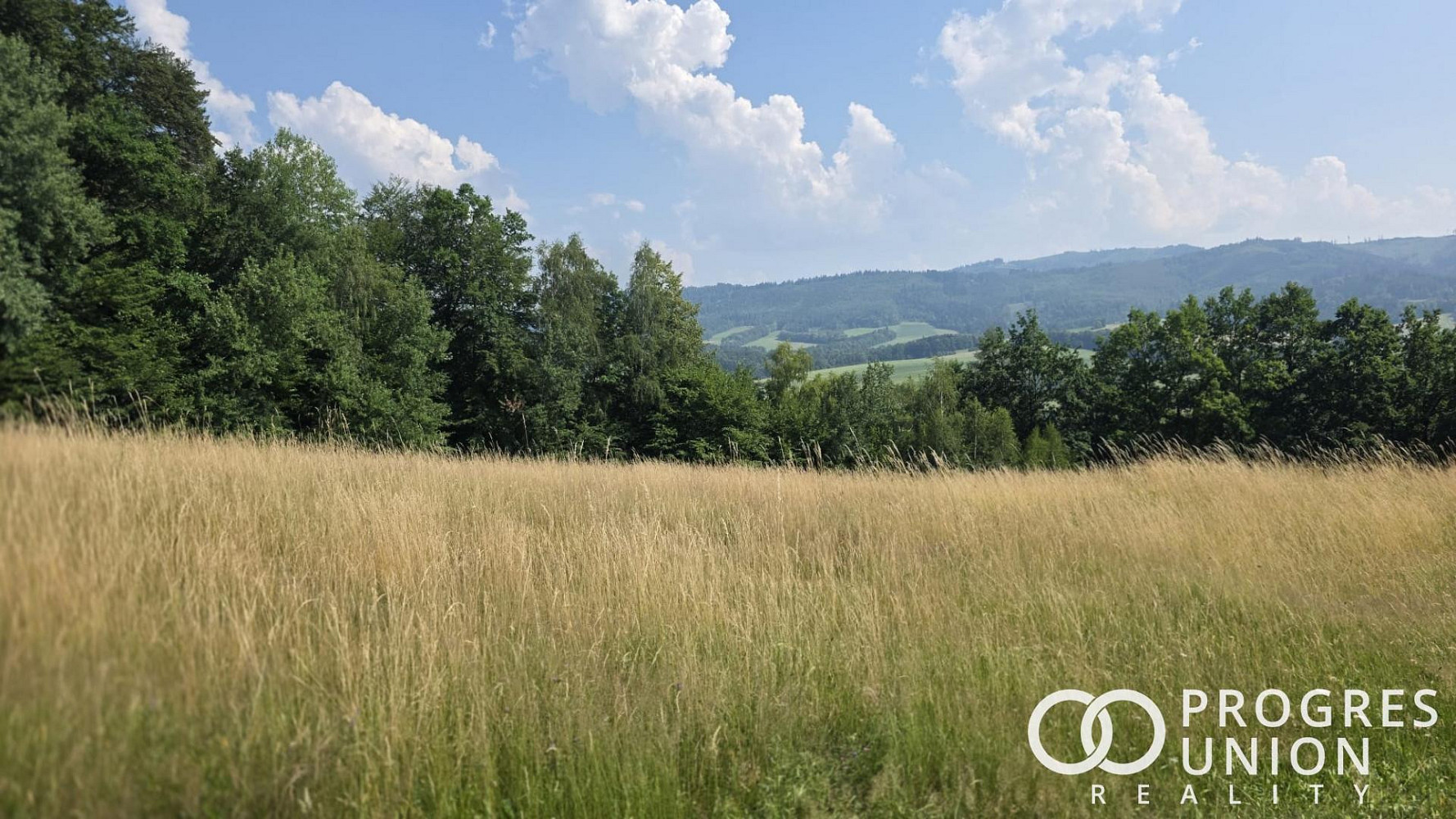 Prodej pole 6 323 m²