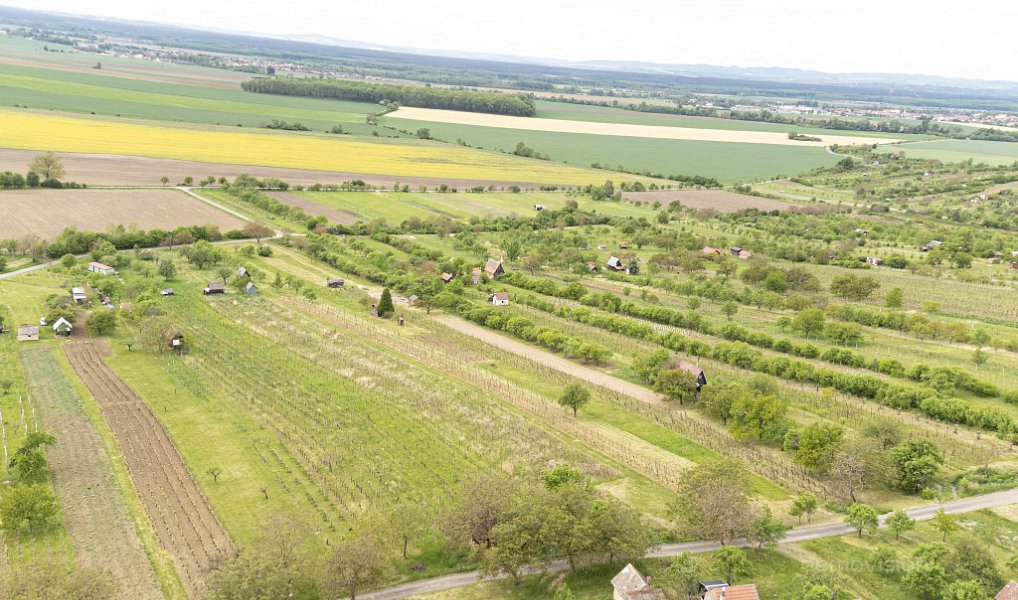 Prodej pozemku 3 526 m², Radějov – náhled fotky 4