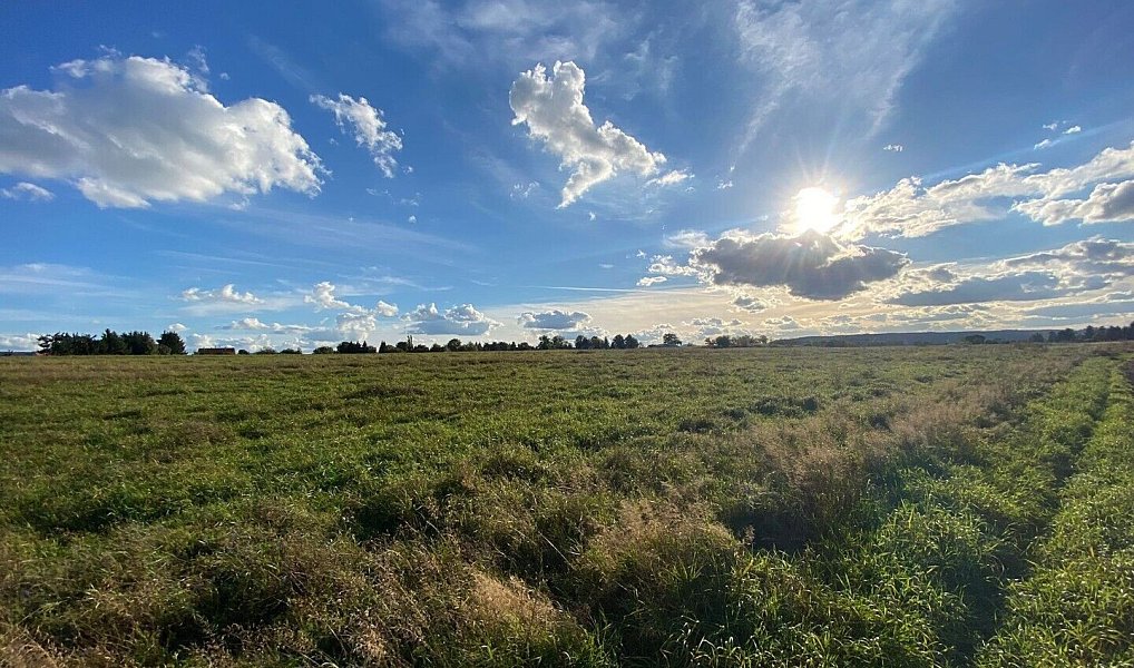 Prodej komerčního pozemku 28 436 m², Kolová – náhled fotky 4