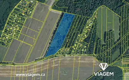 Prodej lesa 3 013 m², Prostějov