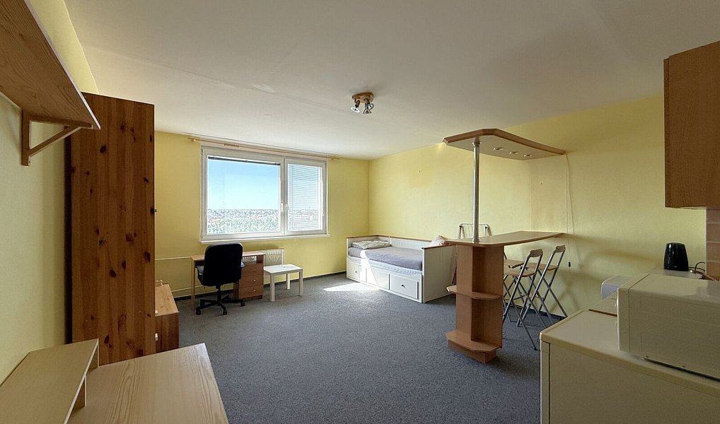 Pronájem bytu 1+kk 35 m², Plzeň – náhled fotky 4