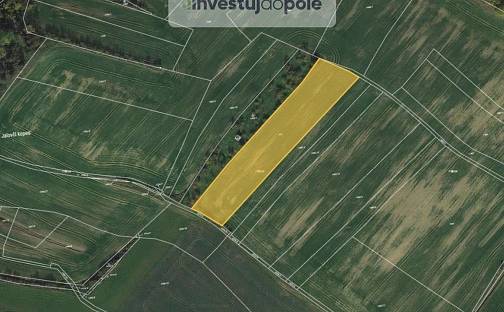 Prodej pole 8 074 m², Pavlice, okres Znojmo