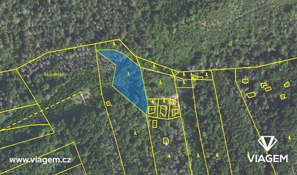 Prodej lesa 2 464 m², Loděnice – náhled fotky 2