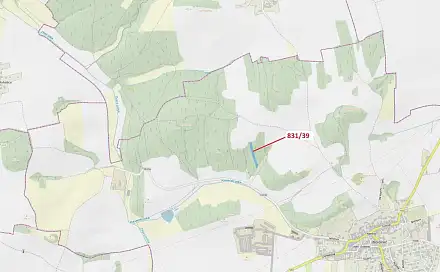 Dražba lesa 3 368 m², Koloveč