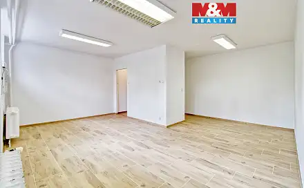Prodej obchodních prostor 34 m², Javorová, Most