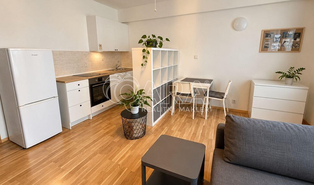 Pronájem bytu 1+kk 28 m², Praha – náhled fotky 2