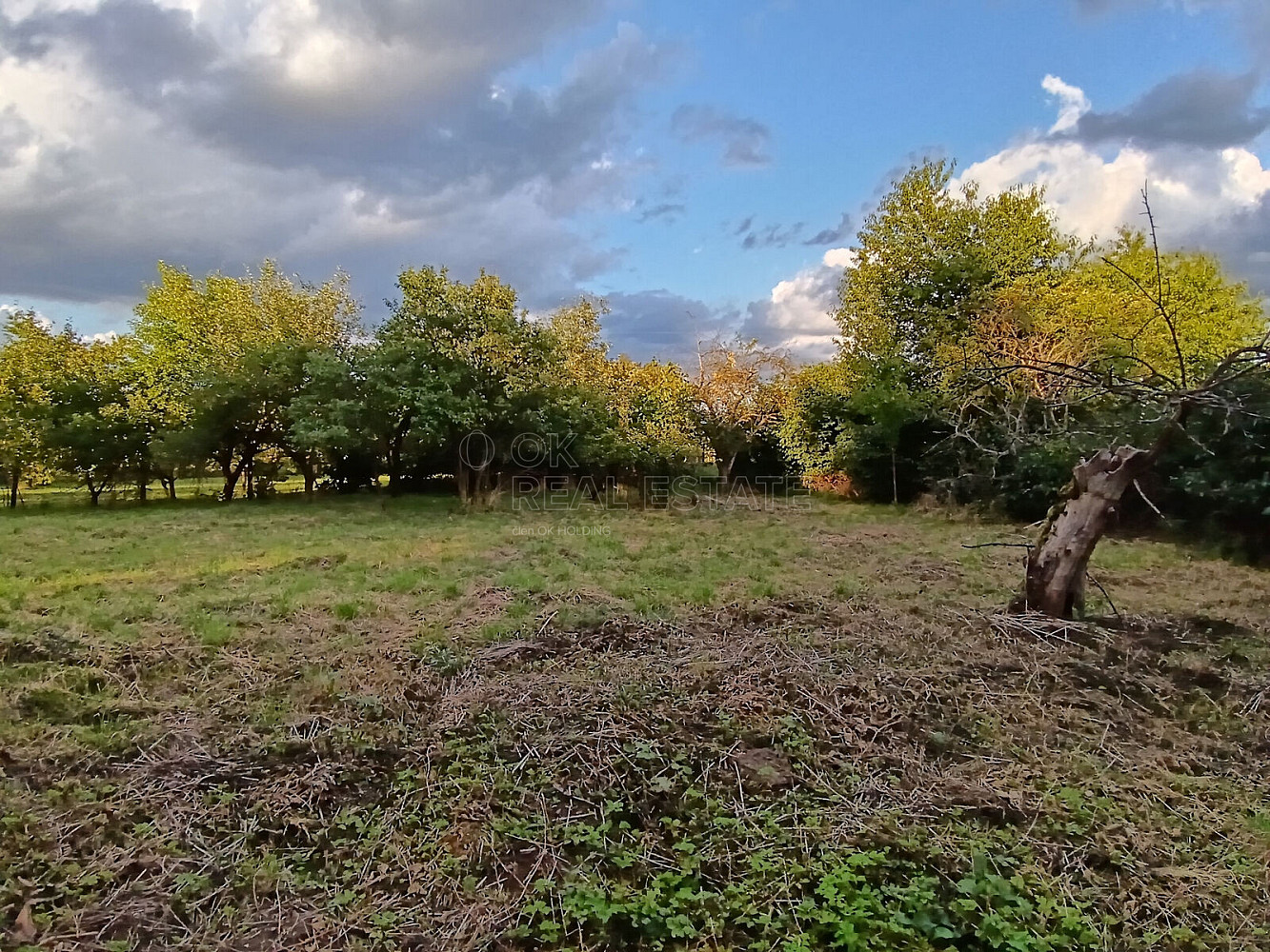 Fotka 15 z 15