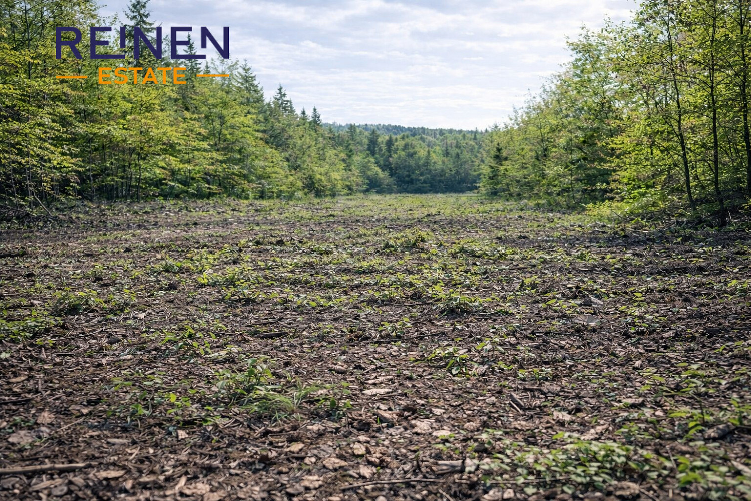 Prodej lesa 14 554 m²