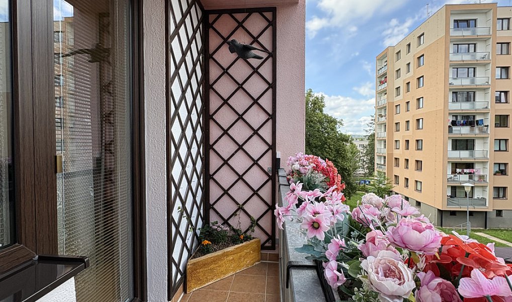 Prodej bytu 2+1 55 m², Nová Paka – náhled fotky 12