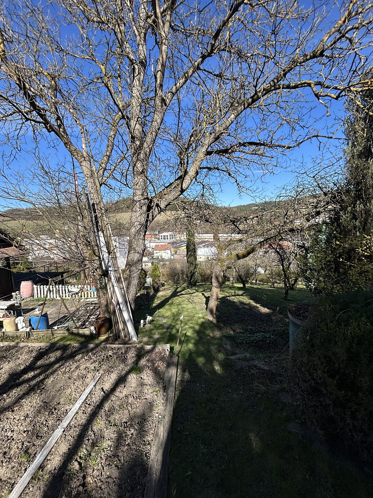 Fotka 10 z 10