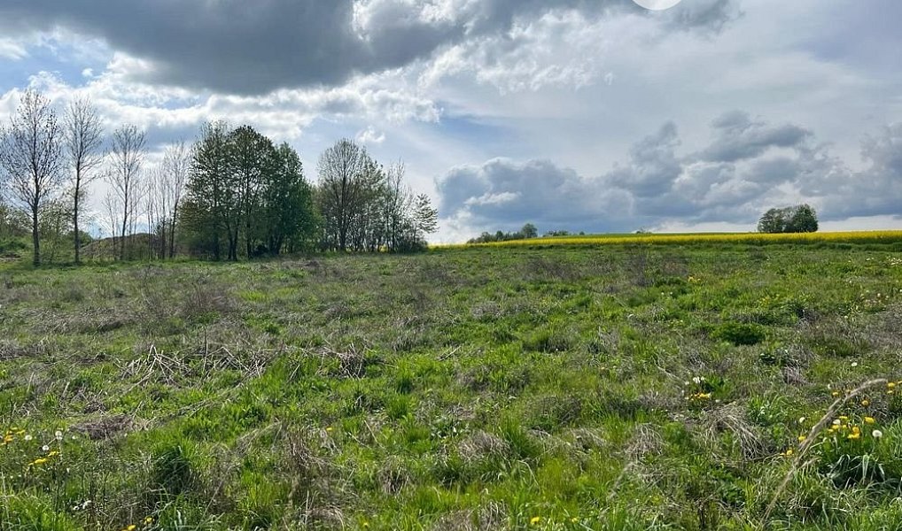 Prodej stavebního pozemku 3 978 m², Rudná pod Pradědem – náhled fotky 2
