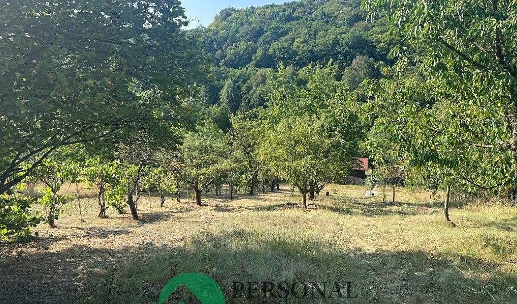 Prodej zahrady 330 m², Rakovník – náhled fotky 4