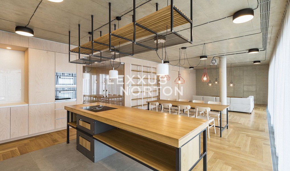 Pronájem bytu atypického 198 m², Praha – náhled fotky 5