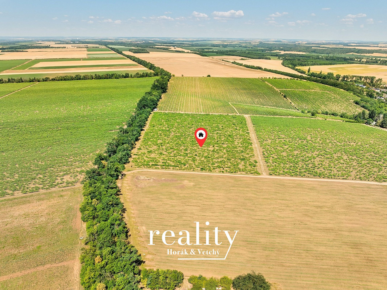 Prodej pole 33 963 m² – fotografie 5