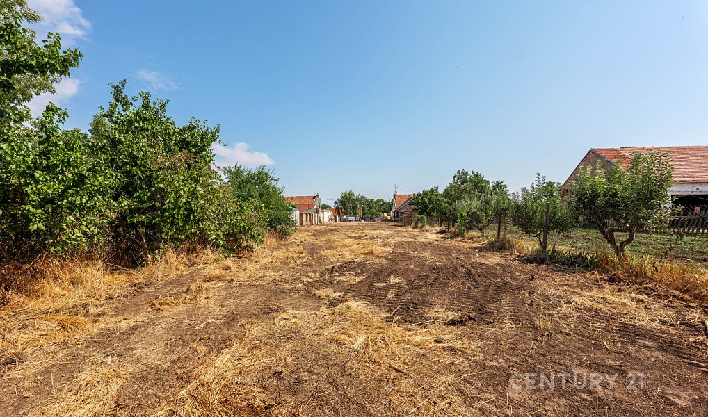 Prodej bytu 1+kk 24 m², Bulhary – náhled fotky 7