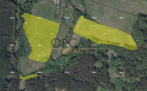 Prodej pole 49 135 m², Úbislavice, okres Jičín