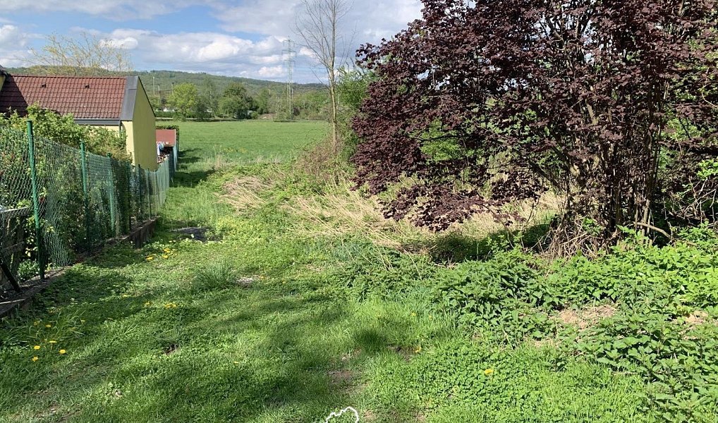 Prodej pozemku 2 614 m², Dobřichovice – náhled fotky 2