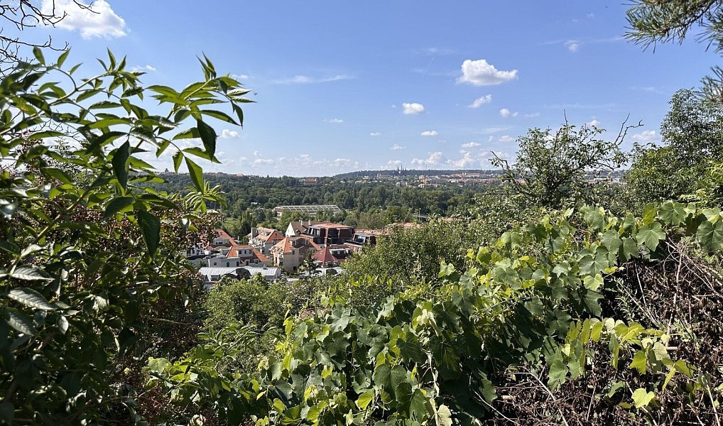 Prodej stavebního pozemku 1 289 m², Praha – náhled fotky 8