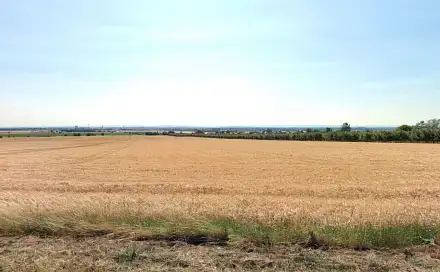 Prodej pole 29 414 m², Olomouc - Droždín