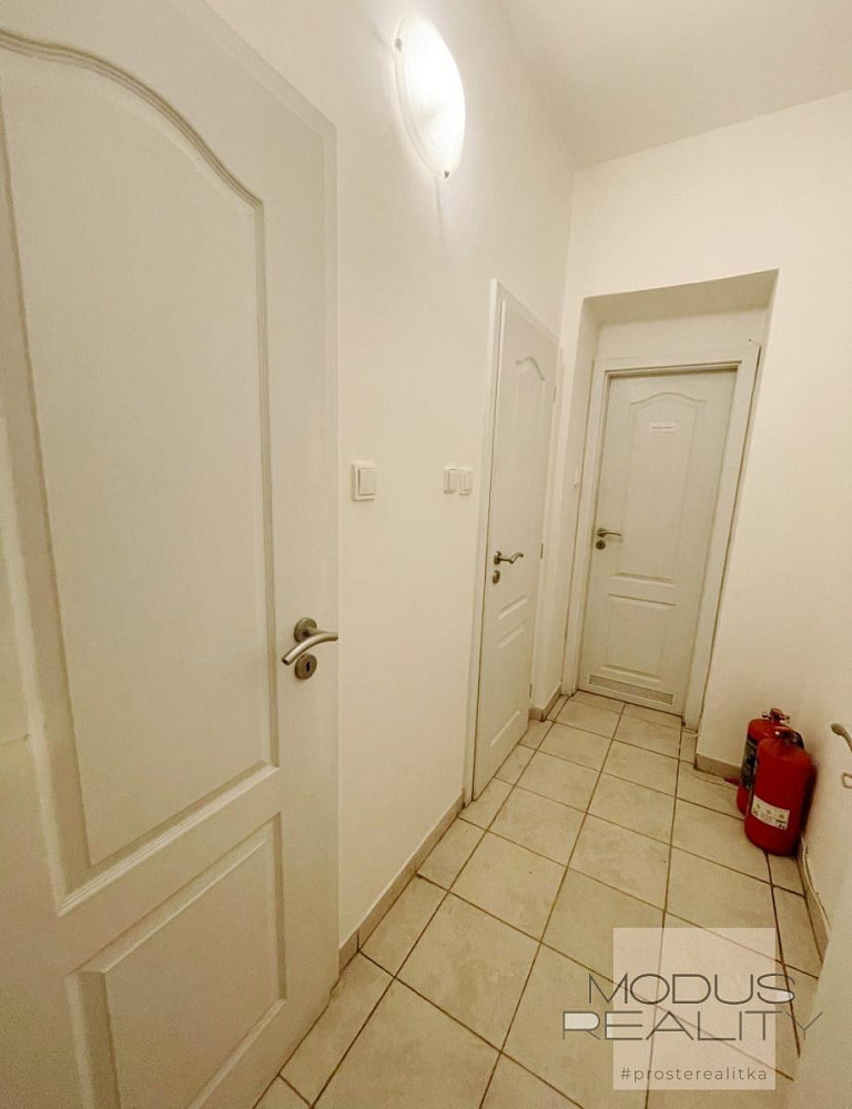 Pronájem nebytového prostoru 40 m², Praha 3 - Žižkov, výloha, MHD, sociální zázemí – další