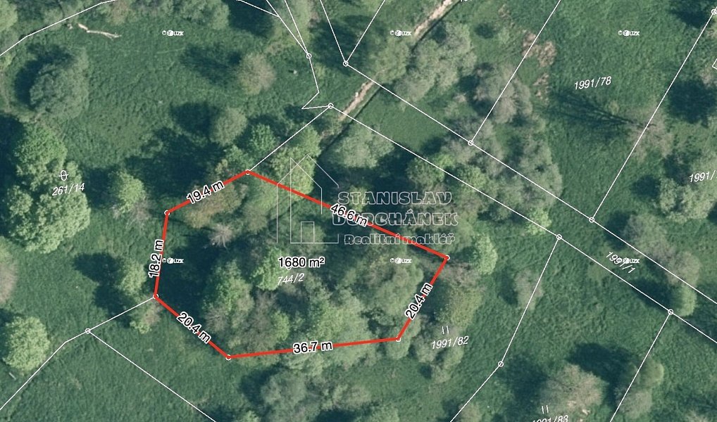 Prodej stavebního pozemku 4 929 m², Nová Ves – náhled fotky 2