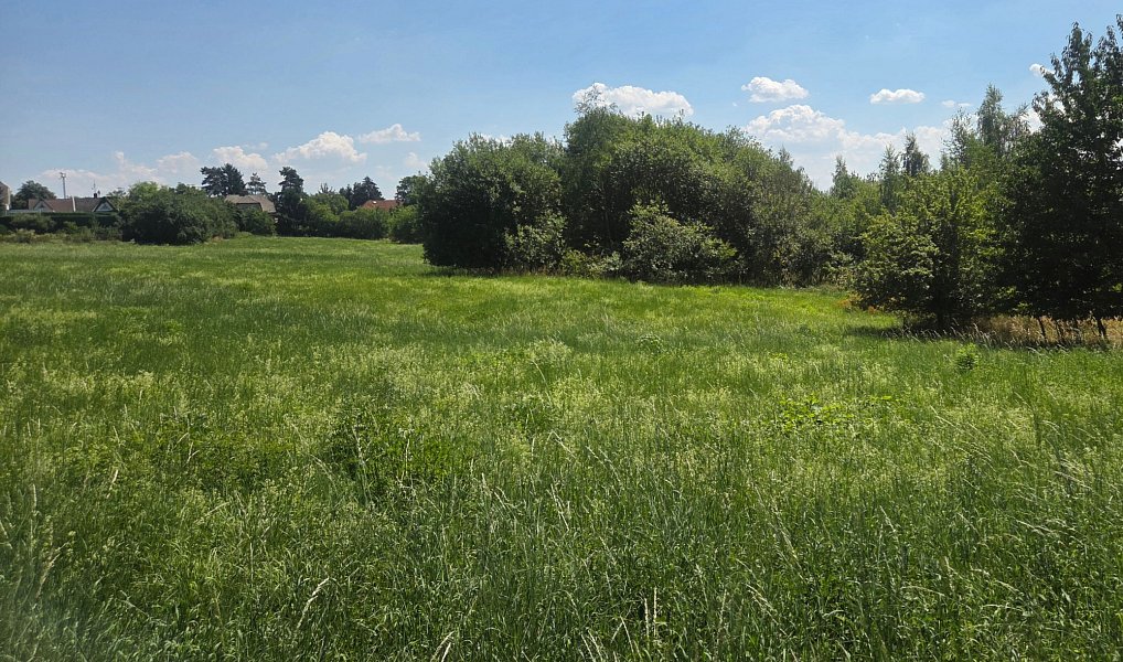 Prodej komerčního pozemku 9 897 m², Říčany – náhled fotky 4
