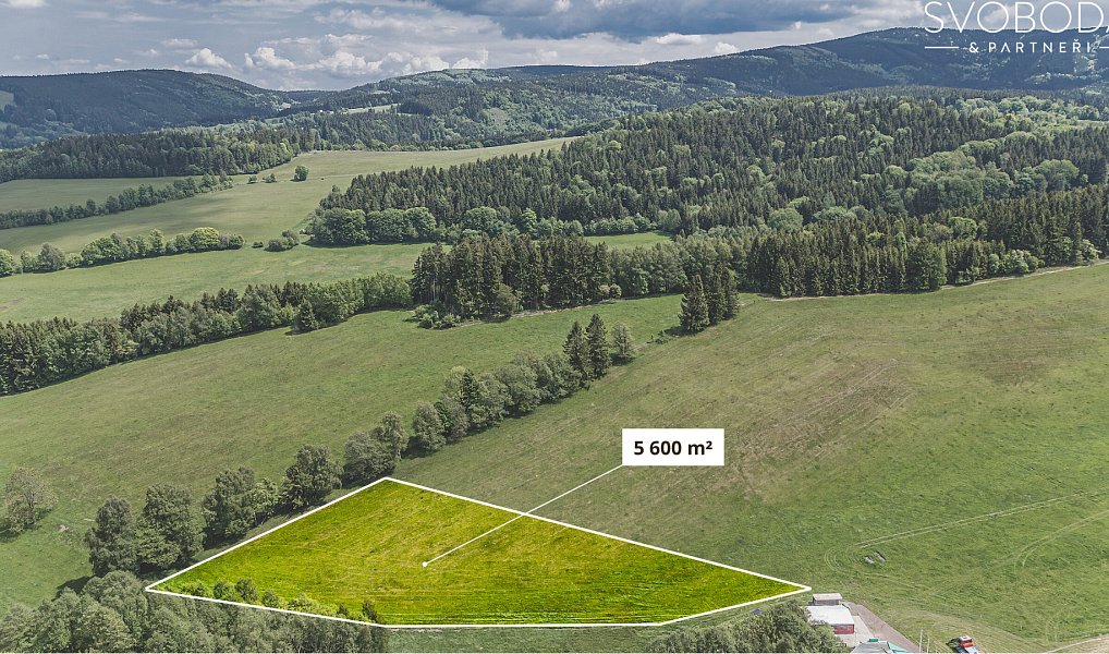 Prodej stavebního pozemku 5 600 m², Olešnice v Orlických horách – náhled fotky 2