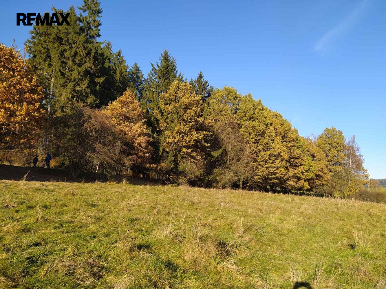 Prodej louky 20 332 m² – fotografie 5