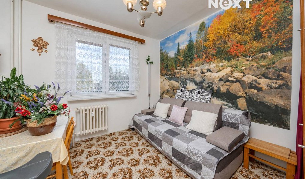 Prodej bytu 3+1 64 m², Bruntál – náhled fotky 4