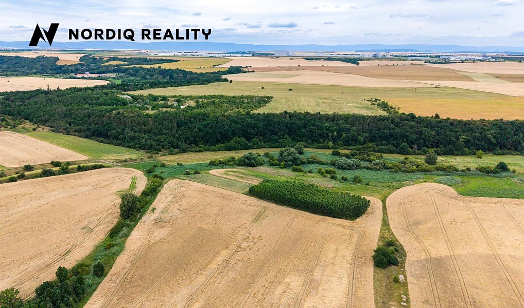 Prodej pole 7 506 m², Staňkovice – náhled fotky 9
